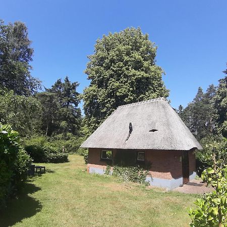 De Hooge Woeste Vila Emst Exterior foto