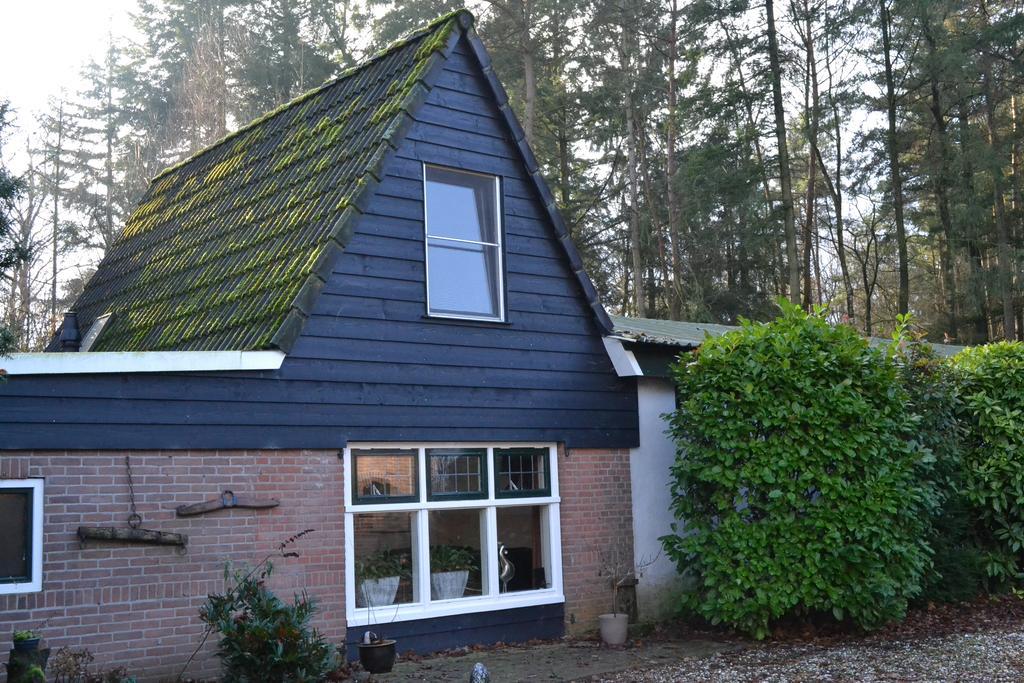 De Hooge Woeste Vila Emst Exterior foto
